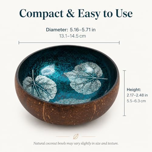 Natural Coconut Bowl Key Decorative - Candy Dish Container Entryway Table