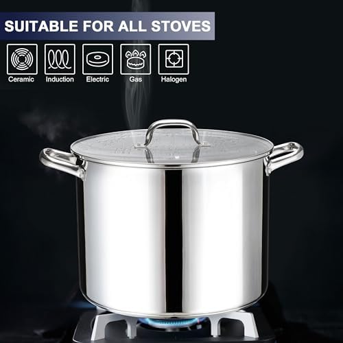 LIANYU 20 QT Stainless Steel Large Stock Pot, Heavy Stockpot with Glass Lid