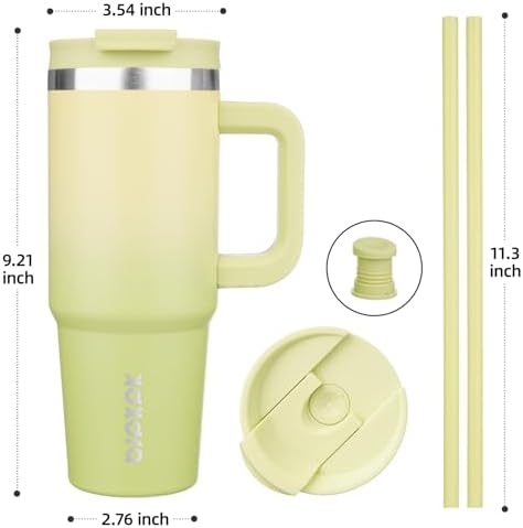 BJPKPK 30 oz Insulated Tumbler with Handle & Straw, Stainless Steel
