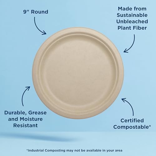 World Centric Compostable Round Paper Plates, 9 Inch (Pack of 250)