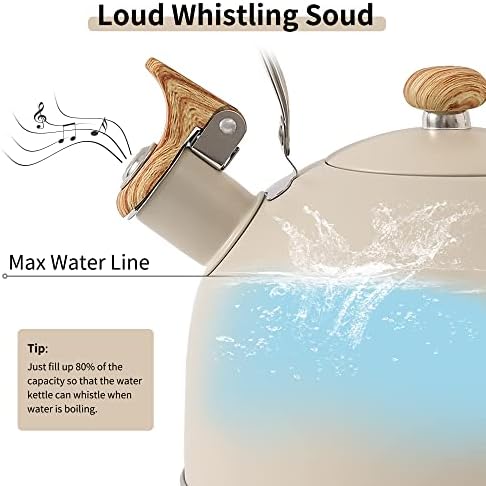 LONFFERY Tea Kettle for Stove Top