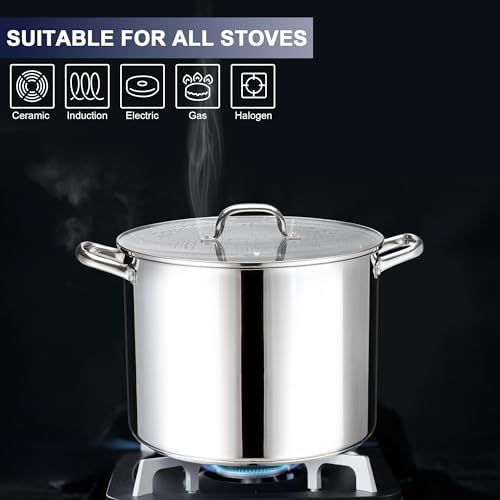 LIANYU Stainless Steel Large Stock Pot, 16 QT Heavy Stockpot with Glass Lid