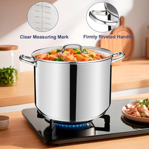 LIANYU 20 QT Stainless Steel Large Stock Pot, Heavy Stockpot with Glass Lid