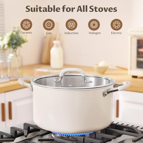 BEZIA 10QT Fully Clad 3-Ply Stainless Steel Stock Pot with Lid, Cooking Pot