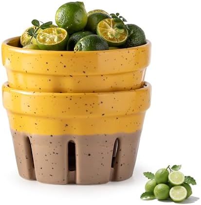 Gomakren Ceramic Berry Bowls with Holes Set of 2 for Fridge Yellow + Brown
