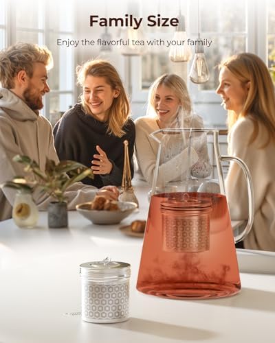 Reinmoson Extra Large Tea Infuser for Loose Tea & Spice Ball for Cooking