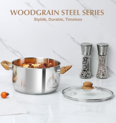 KOCH SYSTEME CS 8 Quart Pot with Lid, Stainless Steel Stock Pot for Soup Pasta Sauce and Stew, Induction Compatible Cooking Pot with Glass Lid, Tri-Ply Bottom, Dishwasher Safe