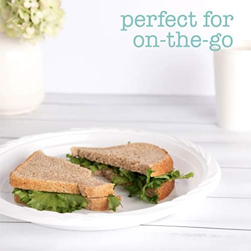 100 Count Disposable 10 Inch White Plastic Dinner Plates Extra Large