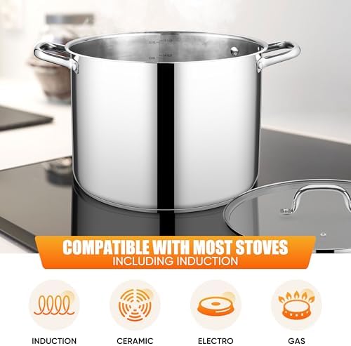 E-far 16 Quart Stainless Steel Pot, Induction Stockpot with Glass Lid