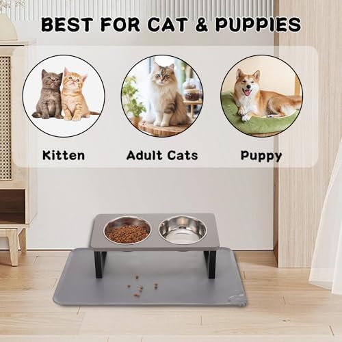 Summark Upgraded Elevated Cat Bowls with Food Mat,15°Tilted Stand Anti Vomiting Raised Cat Dishes for Food and Water,2 Stainless Steel Bowls for Cats and Puppy（Gray）