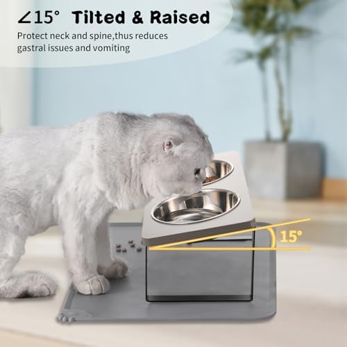 Summark Upgraded Elevated Cat Bowls with Food Mat,15°Tilted Stand Anti Vomiting Raised Cat Dishes for Food and Water,2 Stainless Steel Bowls for Cats and Puppy（Gray）
