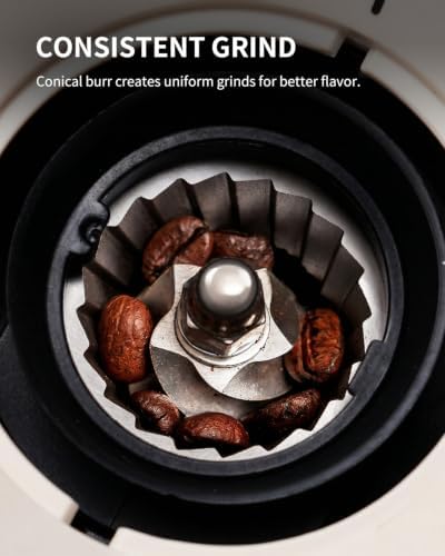 KIDISLE Conical Burr Coffee Grinder 2.0, Electric Coffee Bean Grinder for Precise Grinding, 35 Settings, 2–12 Cup Selector, Anti-Static Design for Home Use, Beige