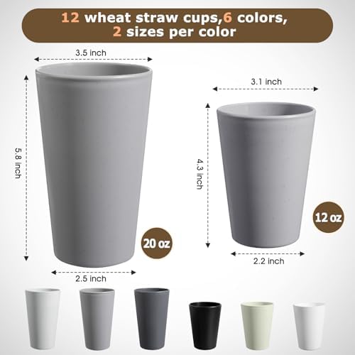 HEYCOME Set of 12 Wheat Straw Cups, 6 Pcs 20 oz & 6 Pcs 12 oz Unbreakable Drinking Cups, Reusable Plastic Cups Sets, Water Glasses Tumblers, Microwave & Dishwasher Safe, Bpa Free, 6 Colors