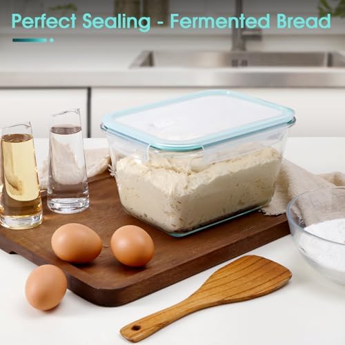 NUTRIUPS 2.6L Large Glass Food Storage Container, 9×6×5in