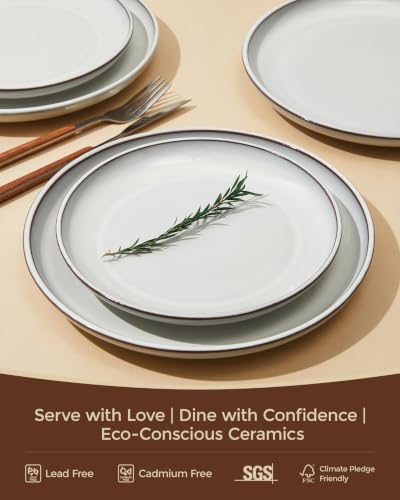 Pokini Stoneware Dinnerware Sets for 8, 24pcs Plates and Bowls Sets Dishes