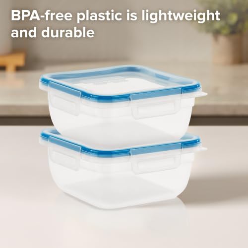 Snapware Plastic Total Solution 2-Pack (5.5 Cup) Food Storage Containers