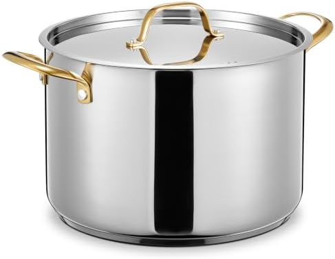 BEZIA 12 QT Stainless Steel Stock Pot, Uncoated Large Soup Pot with Lid