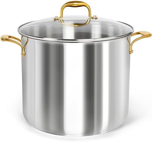 MICHELANGELO Stainless Steel Stock Pot - 20 Quart Soup Pot with Lid & Ergonomic Handle, Extra-Large Pots for Cooking, Suitable for All Stoves