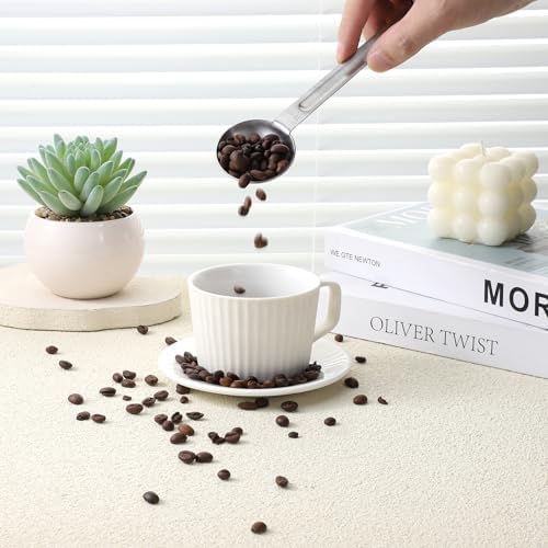 Double Sided Measuring Spoon Stainless Steel Coffee Scoop Teaspoon Measuring Spoon 1 Tsp (5ml) & 1 Tbsp (15ml) Dual-Measure Long-Handle Spoons Coffee Measurings Spoons (Sliver)