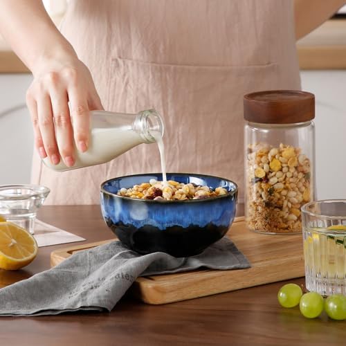vancasso Starry 24oz Bowls for Soup, Ceramic Blue bowls Set of 4