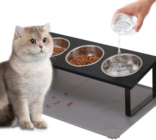 Summark Upgraded Elevated Cat Bowls with Food Mat,15°Tilted Stand Anti Vomiting Raised Cat Dishes for Food and Water,3 Stainless Steel Bowls for Cats and Puppy（Black）