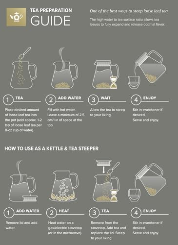 Teabloom One-Touch Tea Maker, 2-in-1 Teapot and Kettle with Stainless Steel Filter Lid for Loose Tea – Stain-Free Borosilicate Glass Teapot (27 Oz) – Tea Connoisseur's Choice
