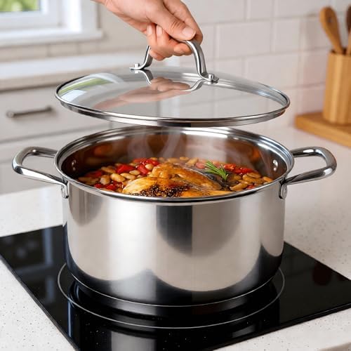 10 Quart Stock Pot, Stainless Steel Pot with Lid For Induction