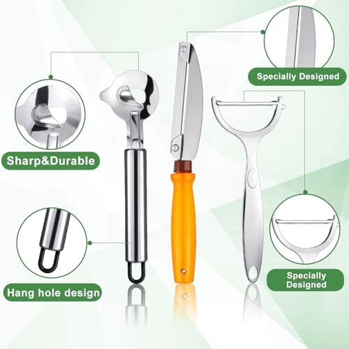 Lothee 4 Pcs Cactus Peeler Tool Set, Stainless Steel Long Handle Kitchen