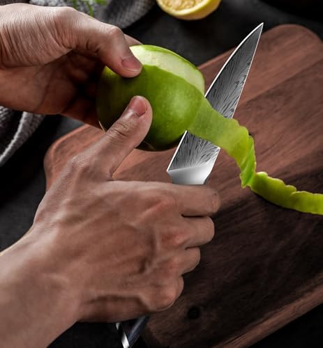 Kitchen Paring Knife 4“, Japanese Powder Steel 63 HRC