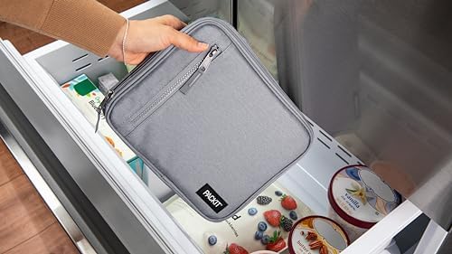 PackIt Freezable Classic Lunch Box, Gray Fog