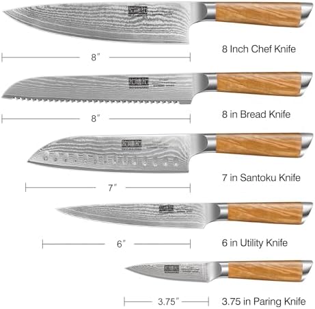 HOSHANHO Damascus Kitchen Knife Set 5PCS, Sharp Chef Knives Ergonomic Grip
