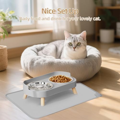 Elevated Cat Bowl with Food Mat, Raised Cat Food and Water Bowl Set for Indoor Cats, Splash Proof with 2 Stainless Steel Pet Food Bowls for Cats and Puppies,Whisker Fatigue and Dishwasher Safe (Grey)