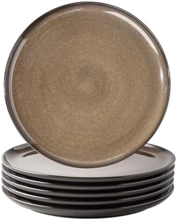 LERATIO Ceramic Dinner Plates Set of 6,10.5 Inch Reactive Glaze Plate Sets