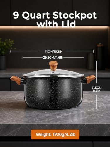 D.Perlla 9 Quart Large Stock Pot with Lid, Nonstick Induction Soup Pot