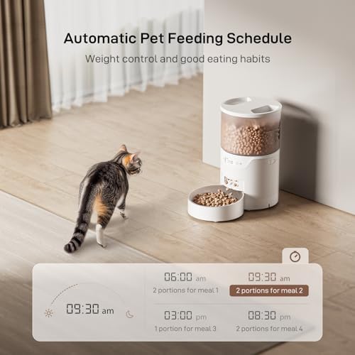 IMIPAW PET Automatic Cat Feeder: 3L Auto Food Dispenser with Timed Feeding| 6 Meal Programmable& 1-20 Portion Precise Control- Easy to Clean & Setup for Cat Indoor| Desiccant Bag Keep Food Fresh