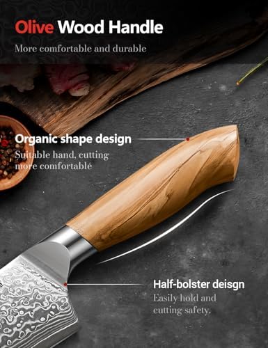 Emojoy 8-Inch Damascus Chef Knife, 67-Layer Japan Steel, Olive Wood Handle