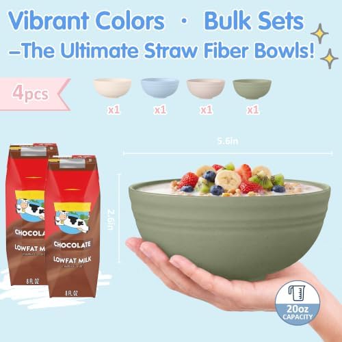Quatish 4 PCS Cereal Bowls, Plastic Bowls, Small Snack Soup Kitchen Bowl