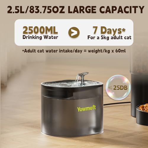 Automatic Cat Feeder and Water Dispenser for 2 Cats