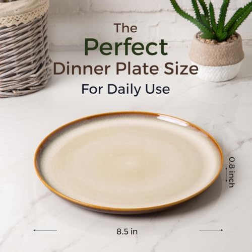 LERATIO Ceramic Plate Set of 6,8.5 Inch Reactive Glaze Salad Plates