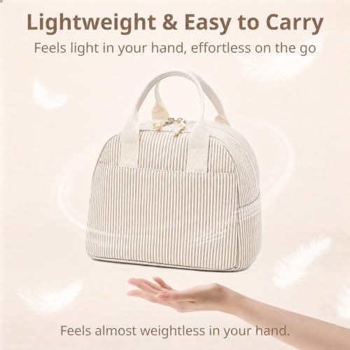 LOVELYWIND Lunch Box for Women, Insulated Lunch Bag,Brown Stripe Tote