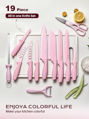 EUNA Knife Block Set, 19 PCS Kitchen Knife Set with Acrylic Block and Sharpener, German High-Carbon Stainless Steel Knife Sets with 6 Serrated Steak Knives, Bread Knife, Chef Knife, Rust-Proof