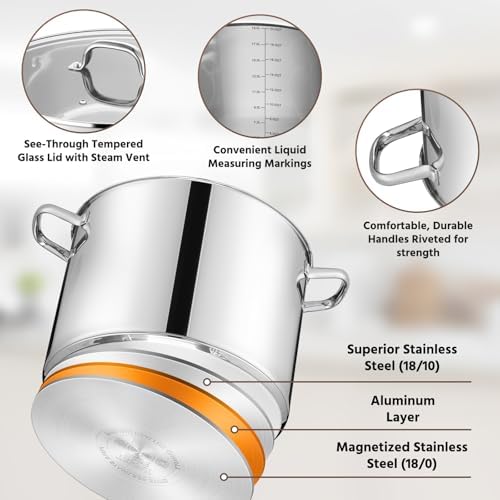 E-far 20 Qt Large Stock Canning Pot, Stainless Steel Stockpot with Lid