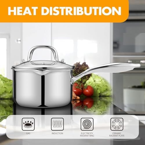 Stainless Steel Saucepan with Tempered Glass Lid, 1.0 Quart Multipurpose Cooking Pot, Sauce Pot for Easy Pour with Ergonomic Handle