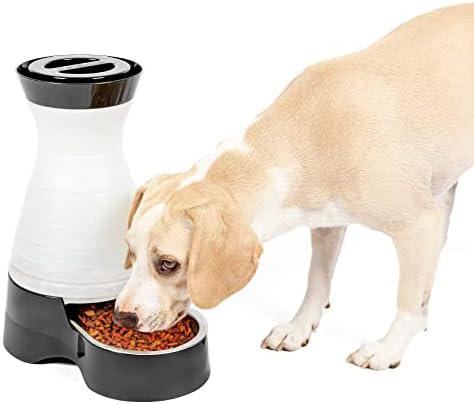 PetSafe Healthy Pet Food Station, 4 lb Gravity Feeder, Cats & Dogs, Medium
