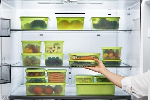 LocknLock Fresh-Block Plastic Food Storage Container | Produce Storage Containers for Fridge | Vegetable & Fruit Storage Containers for Fridge, Storage, Microwave & Dishwasher Safe 330ml