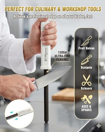 Professional Electric Knife Sharpener with Extendable Sharpening Rod