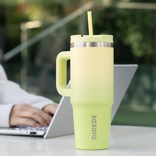 BJPKPK 30 oz Insulated Tumbler with Handle & Straw, Stainless Steel