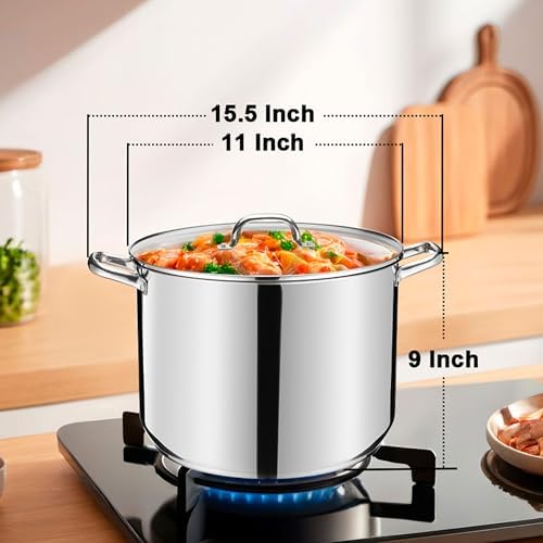 LIANYU 14 QT Stainless Steel Large Stock Pot,Heavy Stockpot with Glass Lid