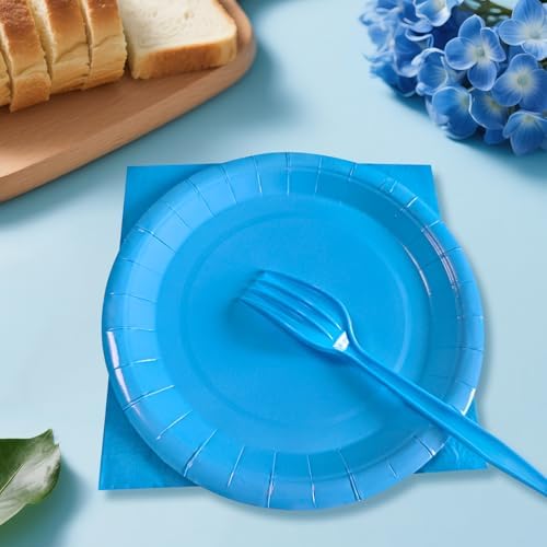 Serves 35 Guests Dusty Blue Plates and Napkins Party Supplies