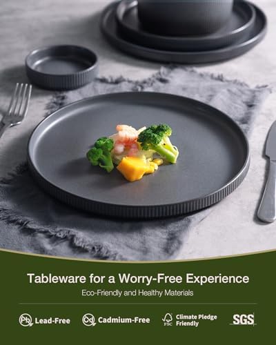Famiware Star Stoneware Dinnerware Set, Reactive Glaze Plates & Bowls for 4